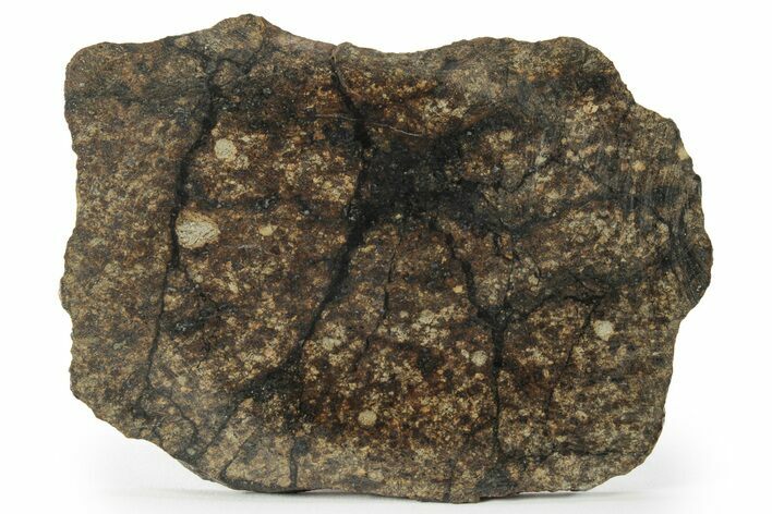 Chondrite Meteorite ( g) Slice with Shock Veins - Morocco #227981